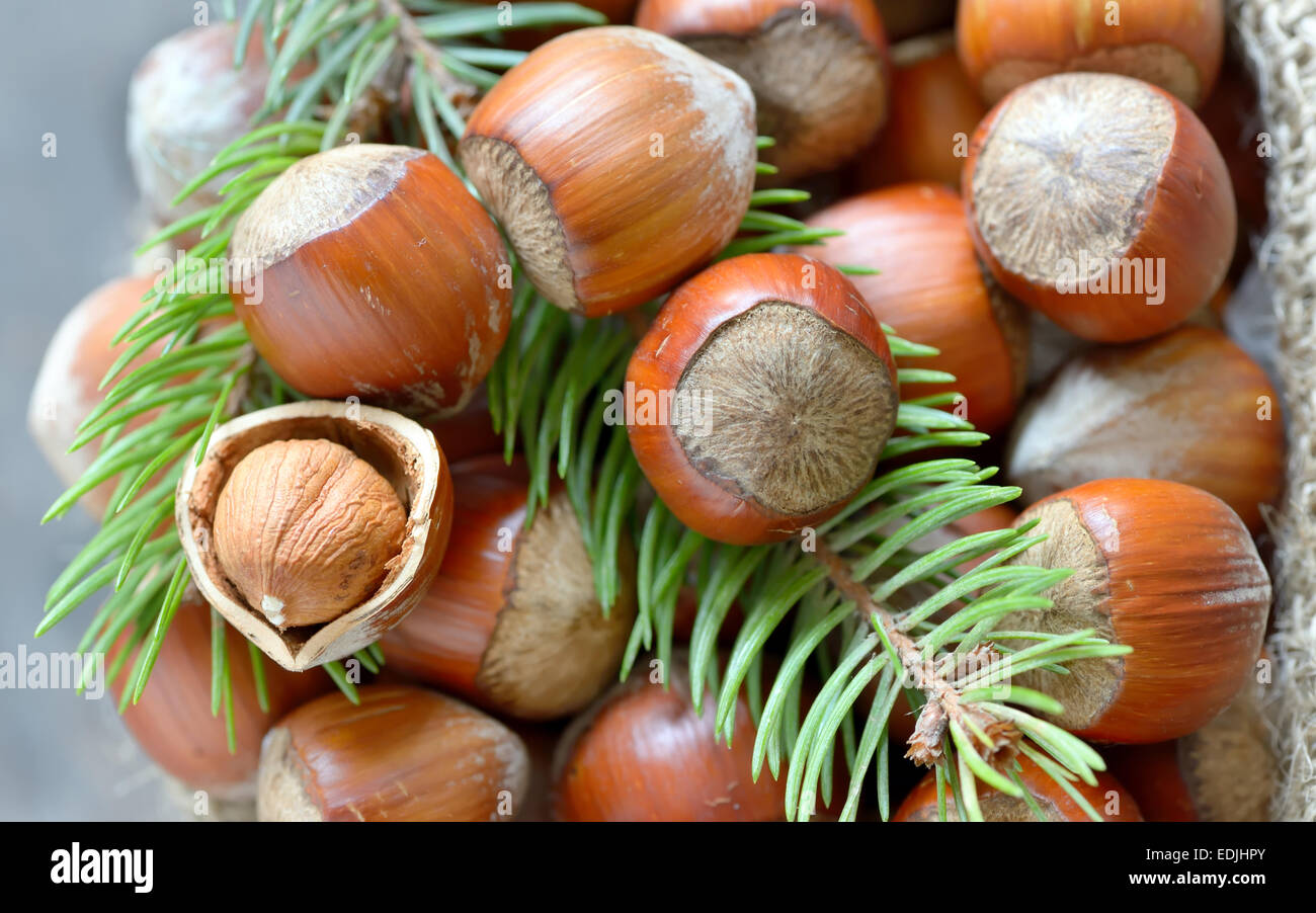 Weihnachts-Dekoration mit Haselnüssen und Fichte Zweige Stockfoto