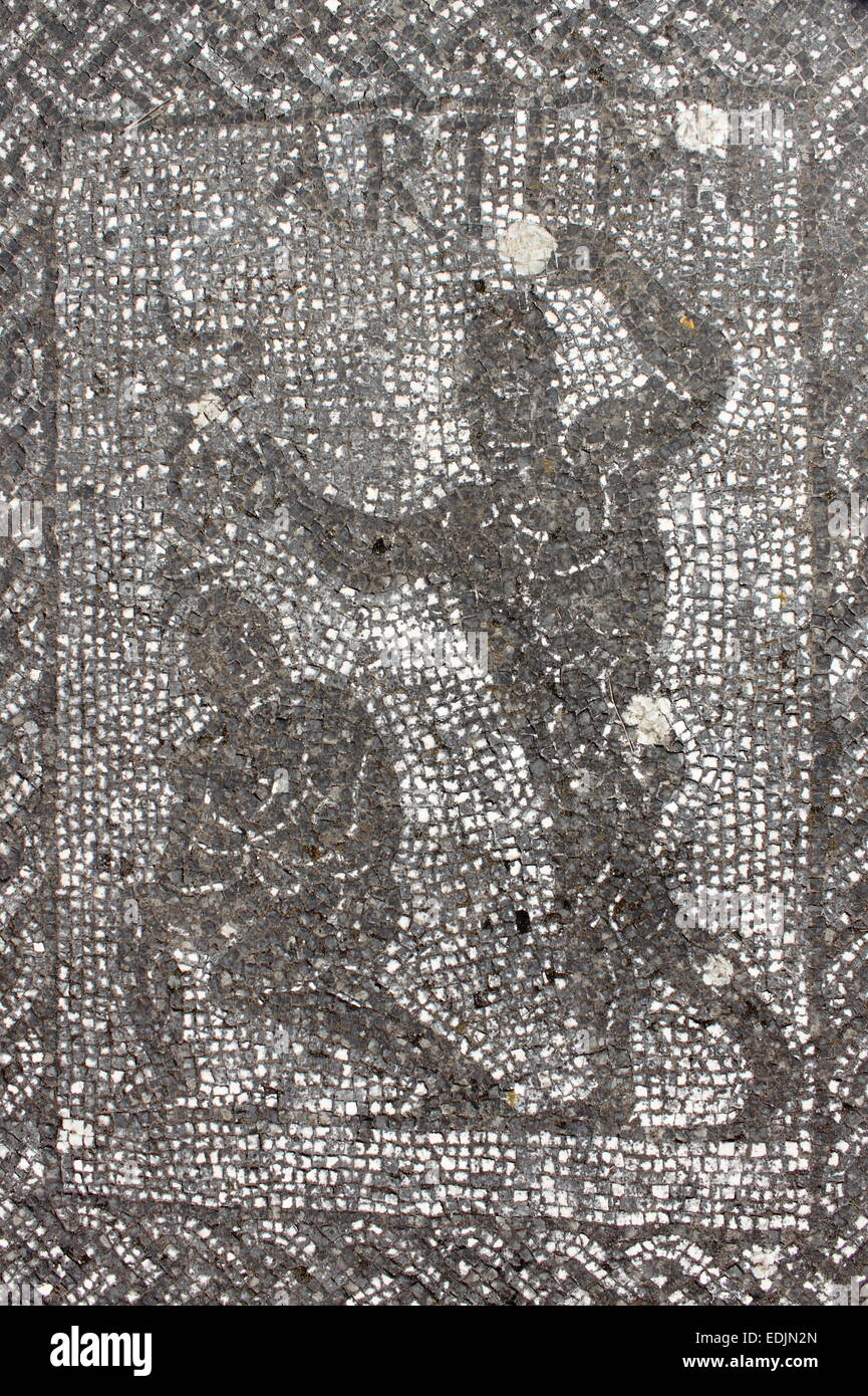 Antike römische Mosaik in Ostia Antica, der alte Hafen von Rom, Italien Stockfoto