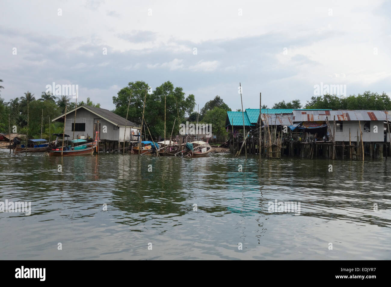 Fluss Häuser auf Stelzen, mit Longtail-Booten, Mangrovenwald, Krabi River, Thailand, Südostasien. Stockfoto
