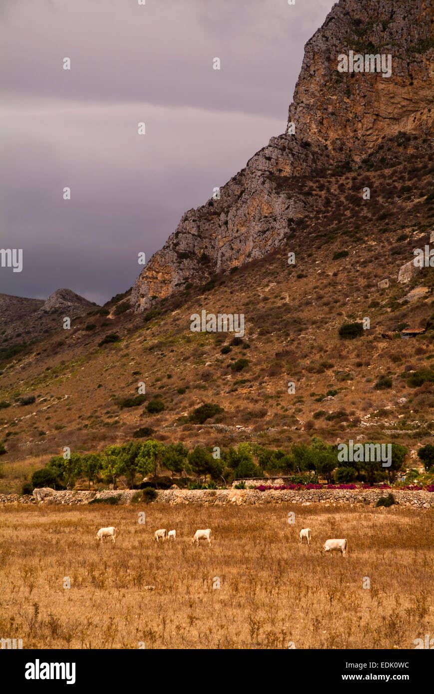 Ägadischen Inseln Favignana Stockfoto