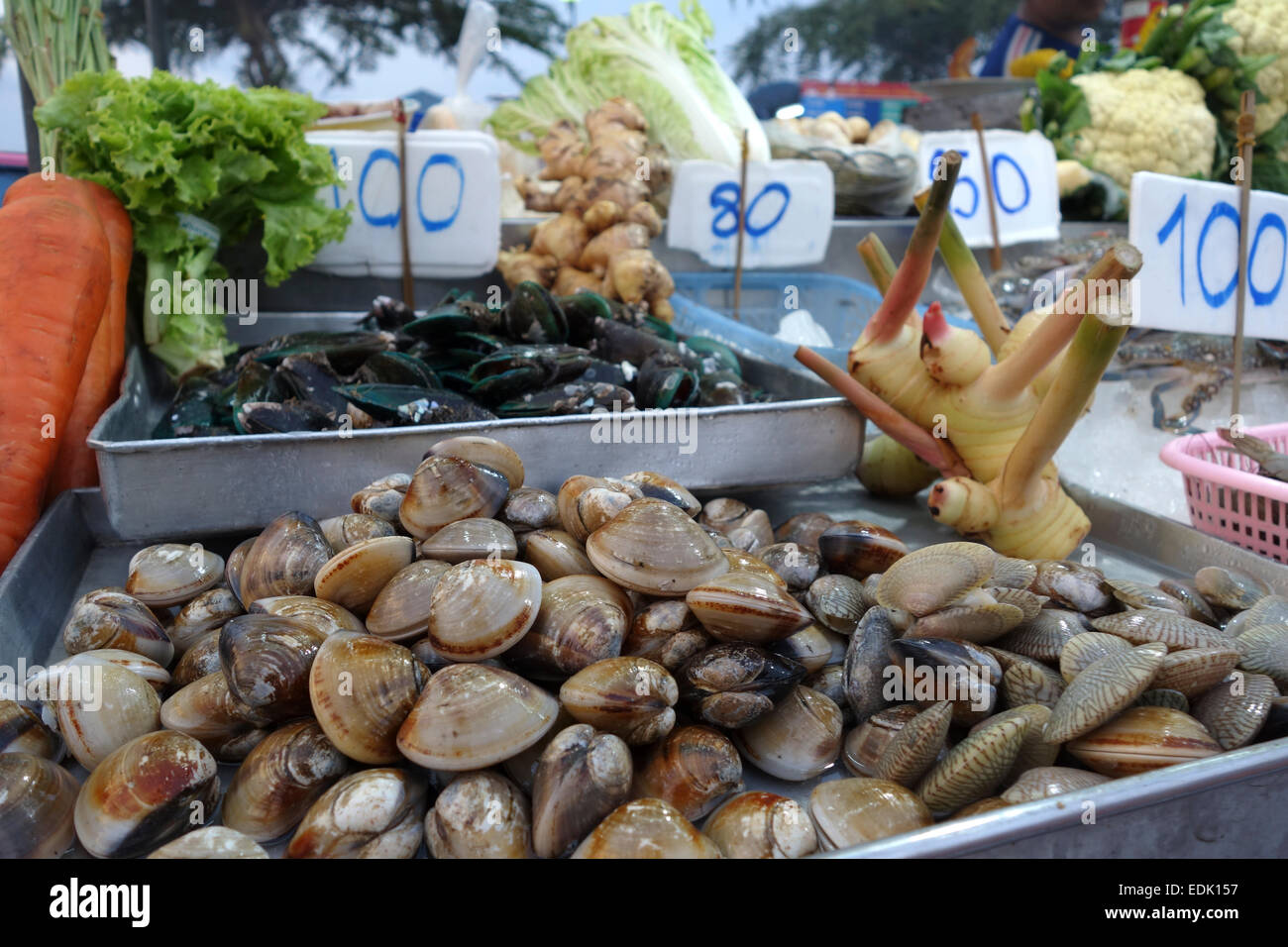 Muscheln und Muscheln in der Nacht Markt, Krabi, Thailand, Südostasien. Stockfoto