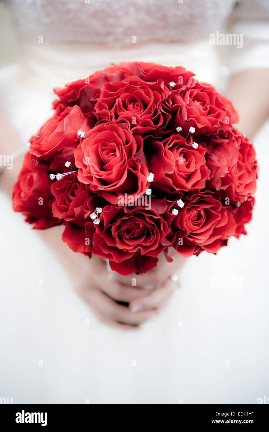 Brautstrauß rote Rosen Stockfoto