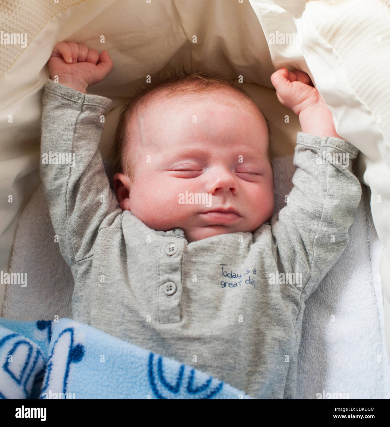 Ein drei Wochen altes Baby schläft in einem Körbchen. Stockfoto
