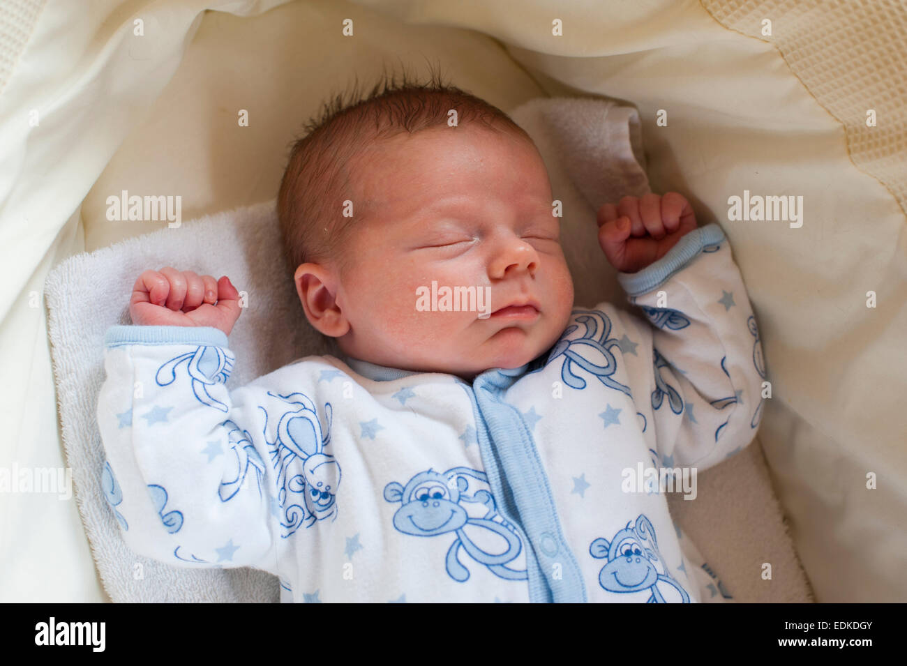 Ein drei Wochen altes Baby schläft in einem Körbchen. Stockfoto