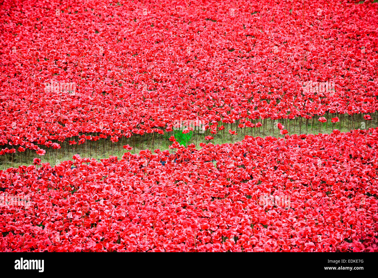 Keramik-Erinnerungsmohn mit einer Linie durchschneiden sie. Blood Swept Lands and Seas of Red Kunstinstallation von Paul Cummins Stockfoto