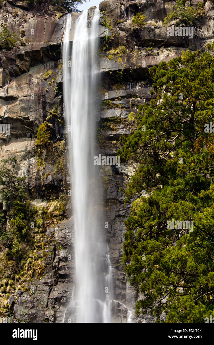 Das berühmte Touristenziel, der 133 Meter hohe nachi Wasserfall, einer der höchsten in Japan. Die Wasserfälle stürzen sich über eine Felsenklippe, umgeben von Bäumen. Stockfoto