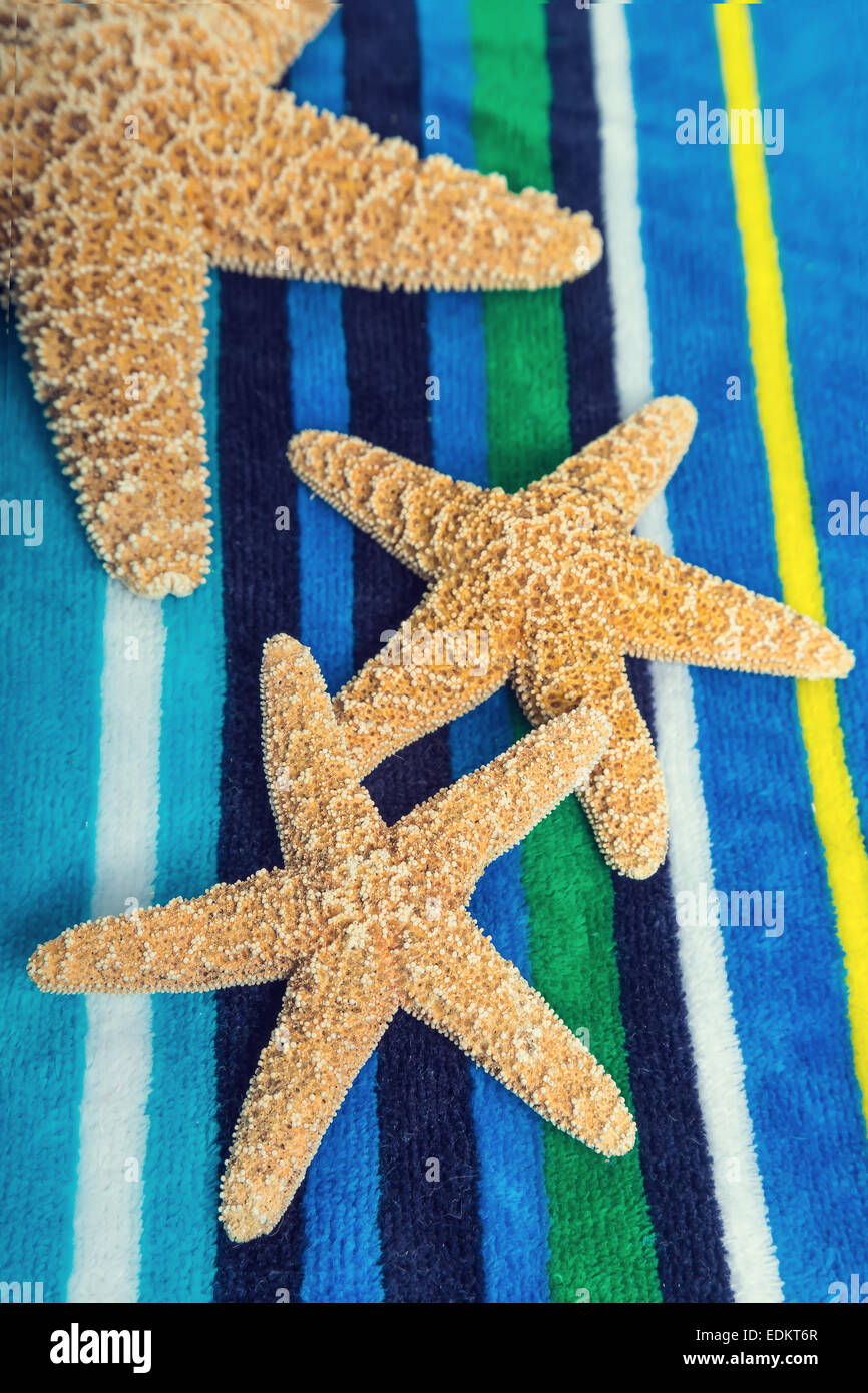 Seestern mit einem leichten Vintage-Effekt auf einem hellen gestreifte Strandtuch. Stockfoto