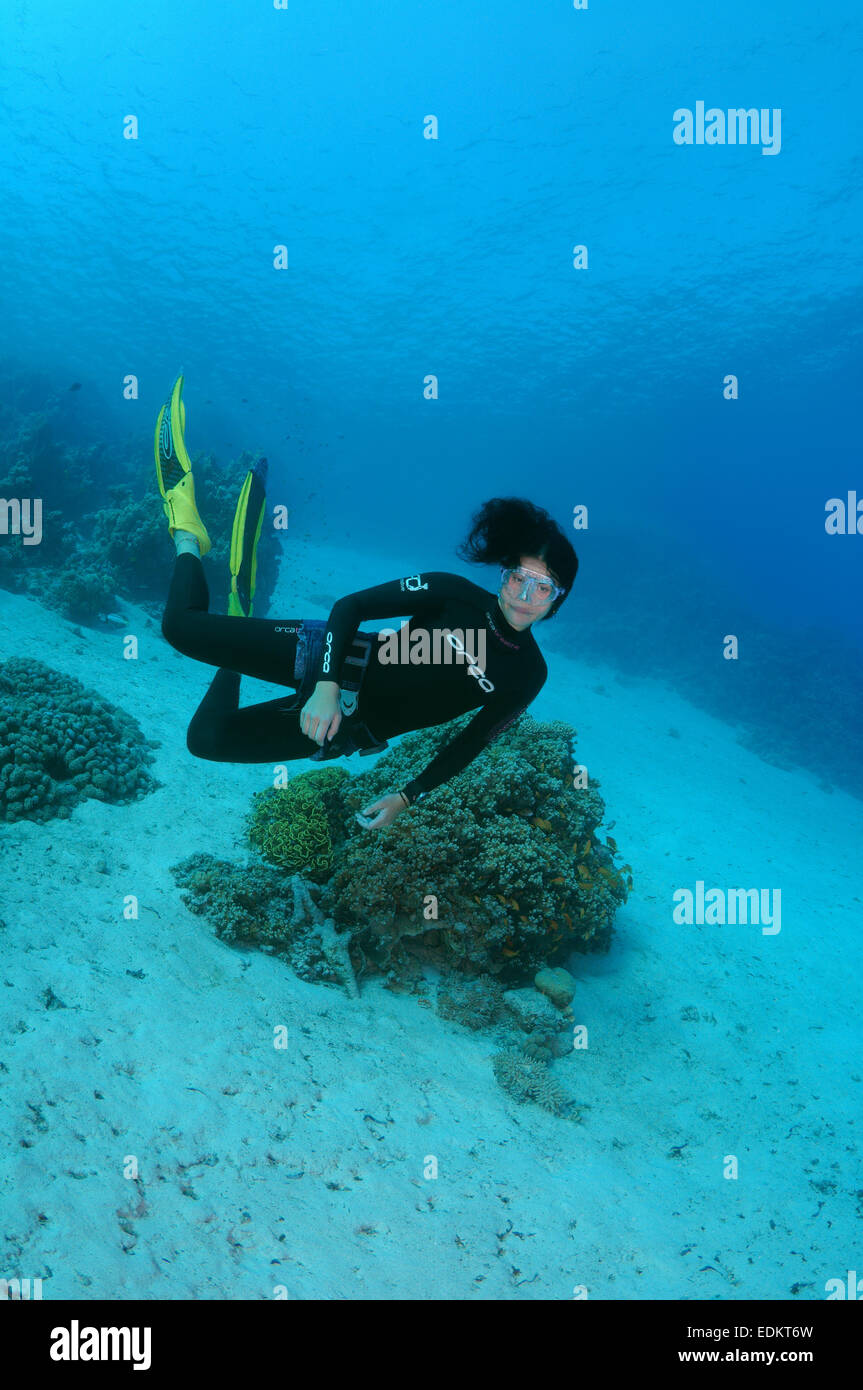 Freediver schwimmt über sandigem Untergrund, Rotes Meer, Ägypten Stockfoto