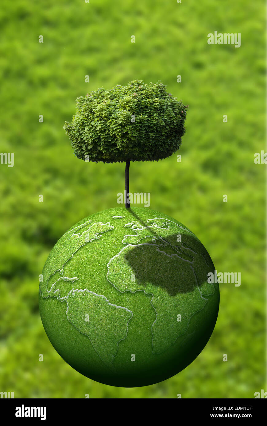 Grüner Baum auf dem grünen Planeten Erde Stockfoto