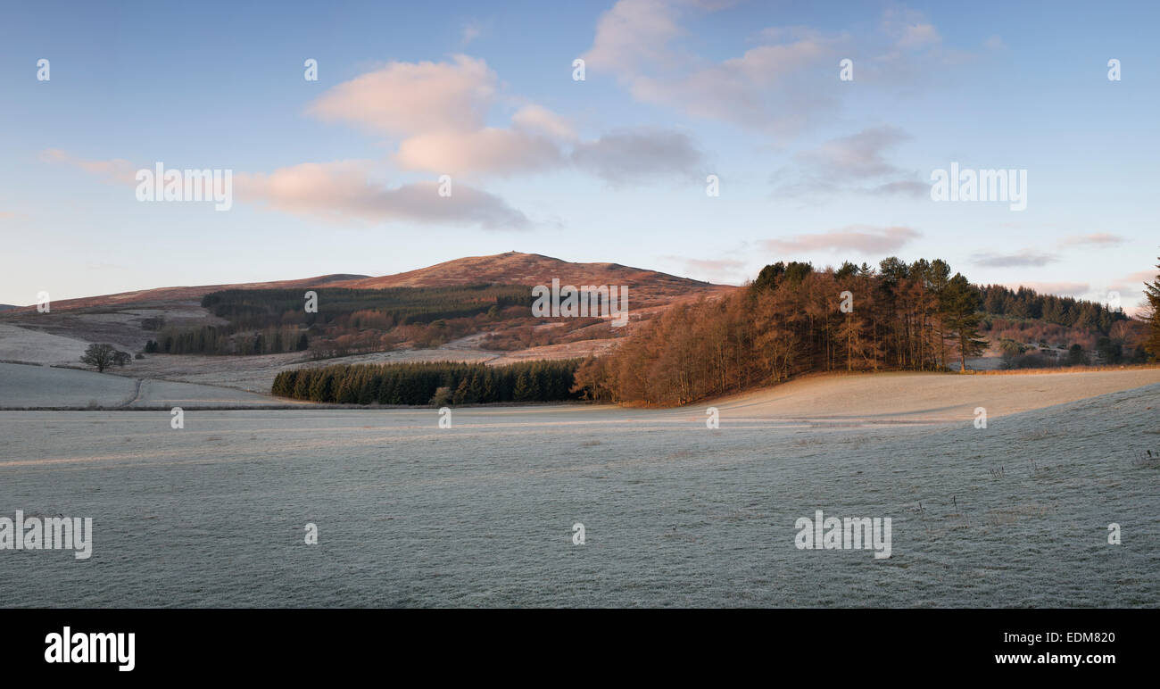 Morgen Frost und Sonnenlicht in der Natur der schottischen Grenze. Bowhill House Estate, Selkirkshire. Schottland Stockfoto