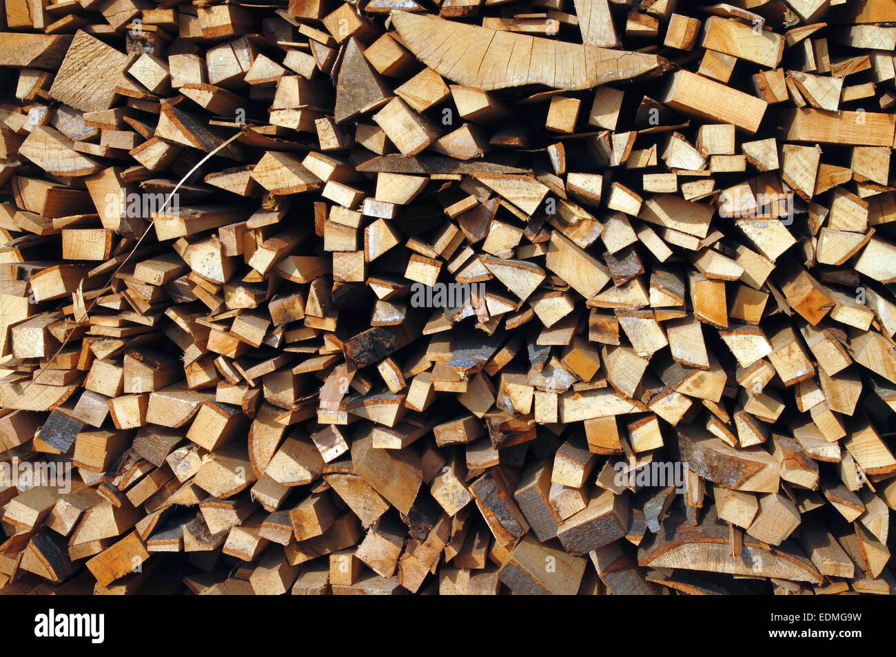 Holzschnitt auf dem Betriebshof des Protokolls und zum Verkauf bereit. Stockfoto