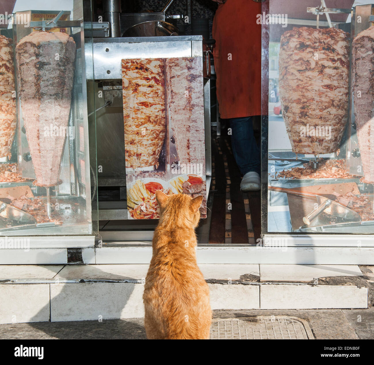 Die Katze saß auf dem Bürgersteig vor einem Kebab-Fast-Food-Geschäft an der High street Stockfoto