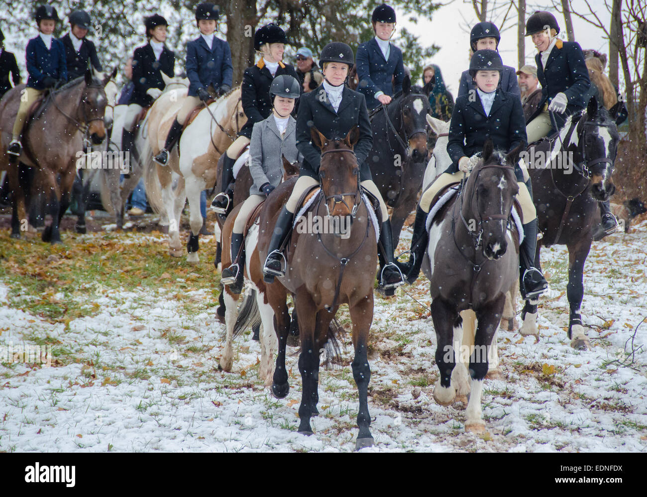 Wie das Signalhorn klingt, sendet Essex Hunt Club von Peapack und Gladstone, New Jersey Pferde und Hunde in die Weideflächen racing Stockfoto