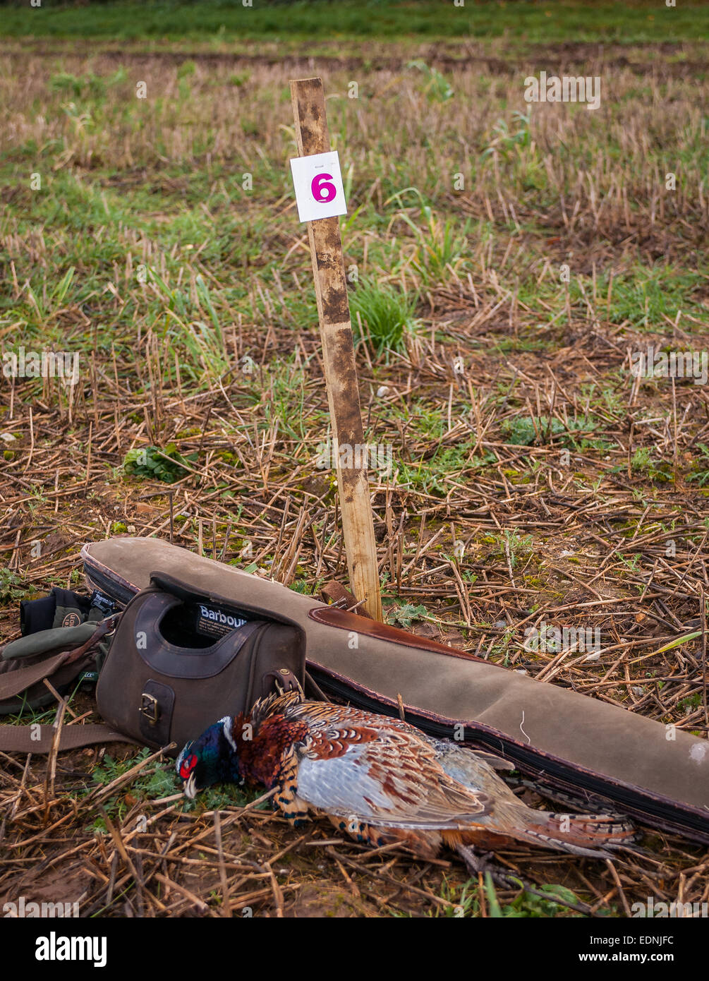 Ein schießen Peg auf einem typischen englischen angetriebenen schießen mit einem Gewehr Slip Patrone Tasche und Fasan, alle Peg Hausnummer 6 Stockfoto