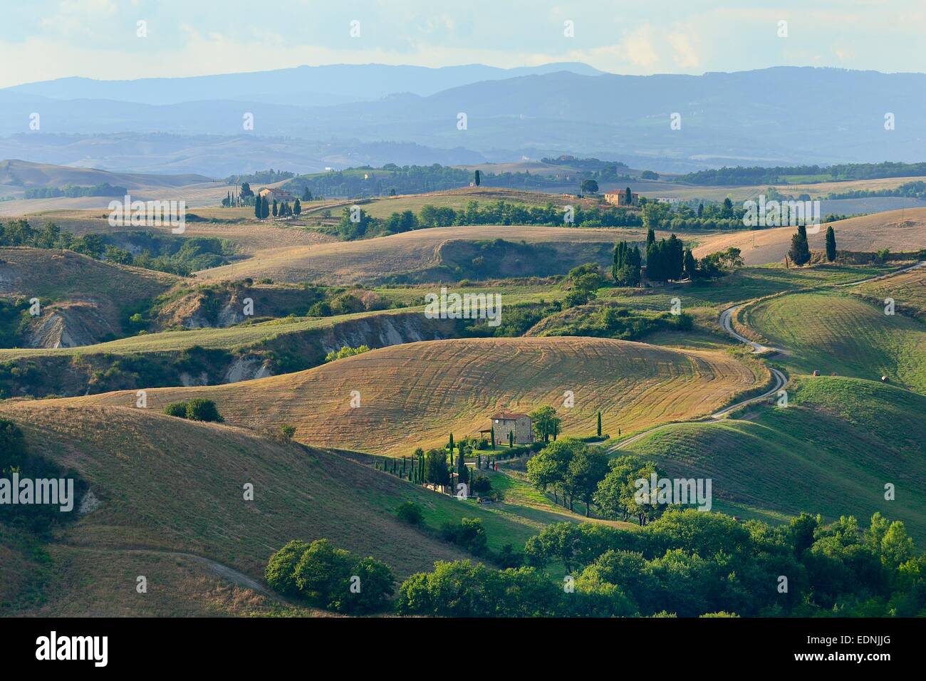 Hügelige Landschaft der Crete Senesi, Provinz Siena, Toskana, Italien Stockfoto