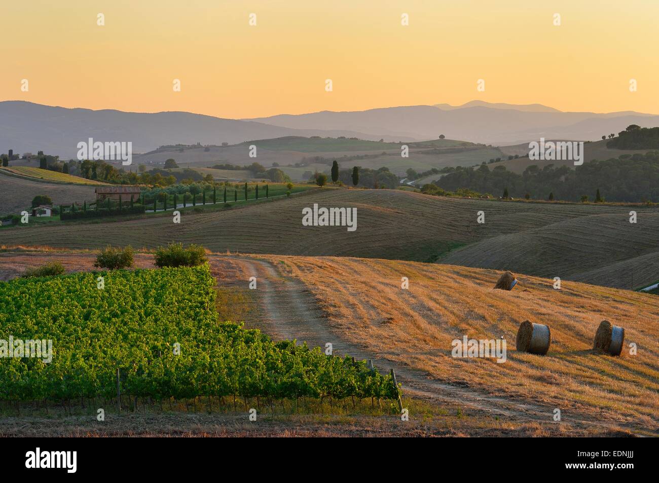 Hügelige Landschaft der Crete Senesi, Provinz Siena, Toskana, Italien Stockfoto