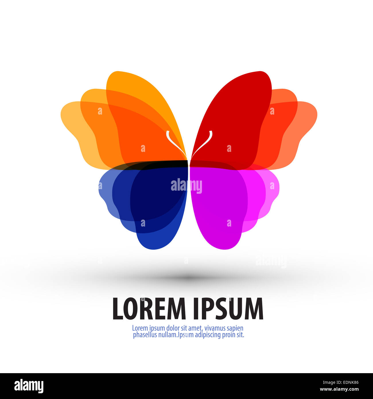 Schmetterling.  Logo, Symbol, Zeichen, Wahrzeichen, Vorlage Stockfoto