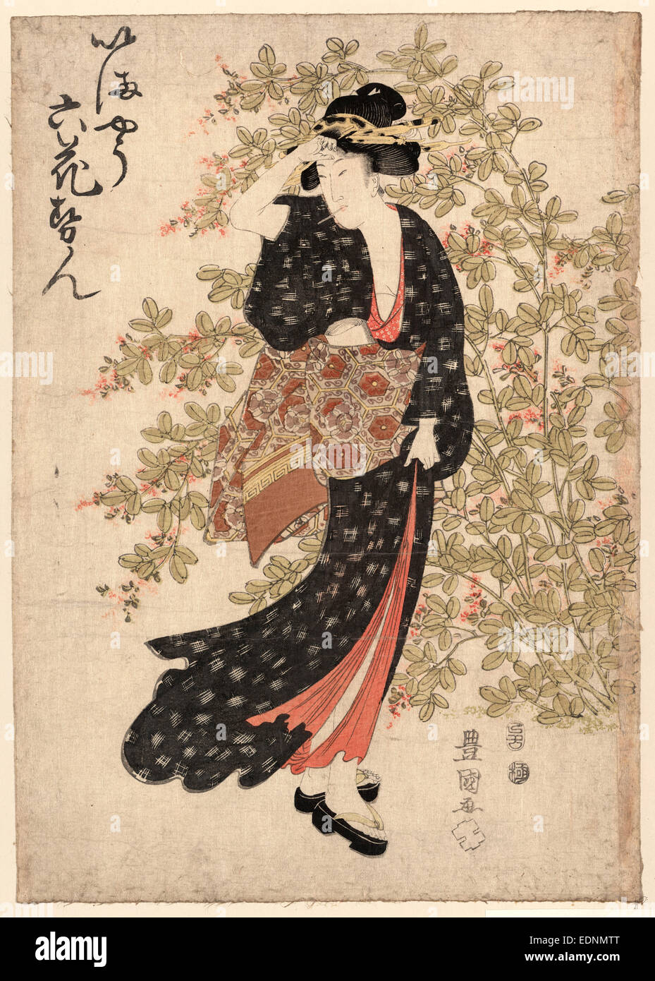 Hagi Bushclover Utagawa Toyokuni 1769 15 Kunstler 1809 1 Print Holzschnitt Farbe 37 6 X 26 4 Cm Zeigt Druck Eine Frau In Voller Lange Stehen Neben Einem Grossen Busch Stockfotografie Alamy