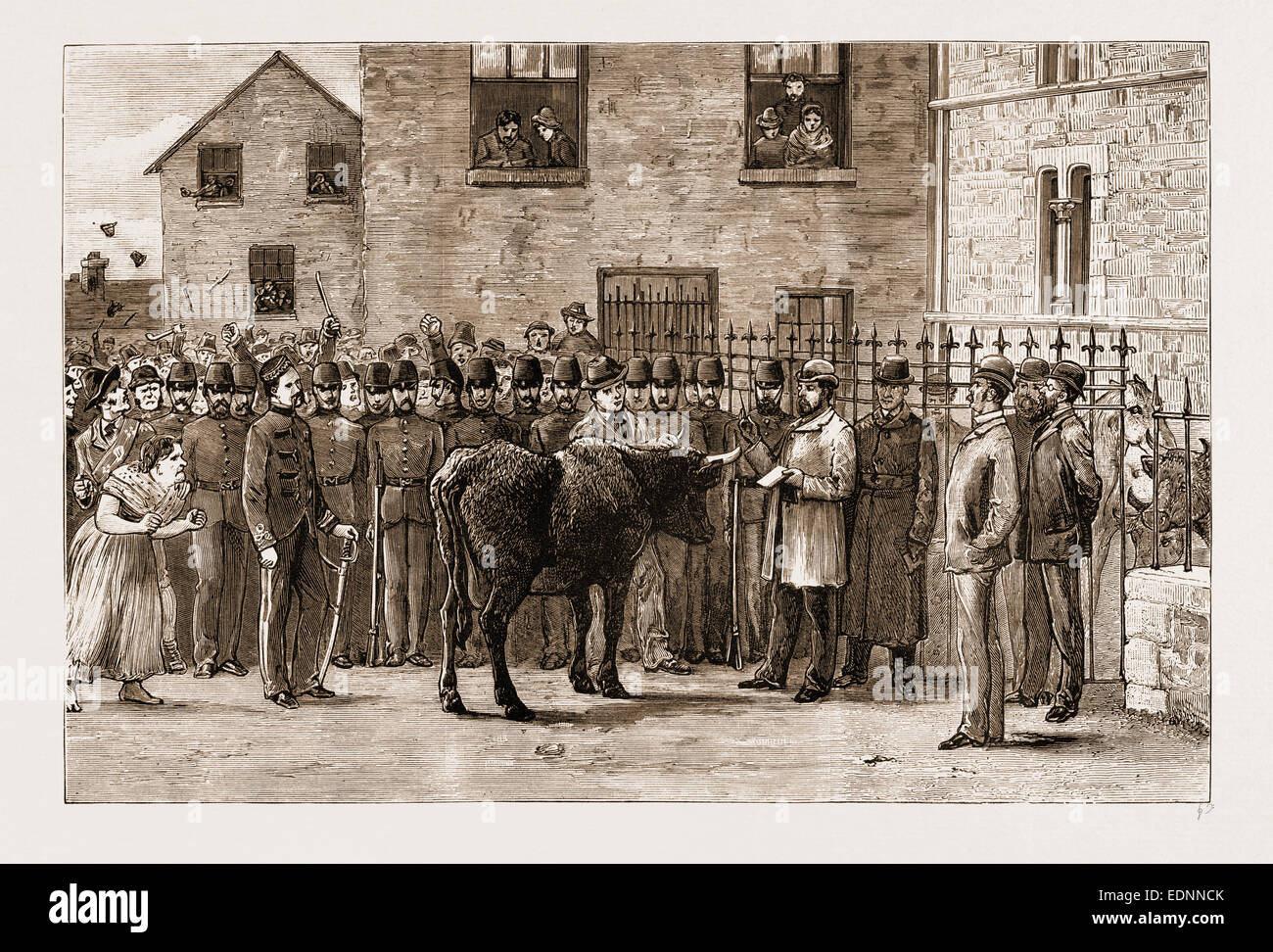 DIE LAND-AGITATION IN IRLAND, 1881: "JUNGE SPLINTE BOYKOTTIERT": BEI SLIGO GERICHTSGEBÄUDE-VERKAUFENDE VIEH BESCHLAGNAHMT ZU VERMIETEN Stockfoto