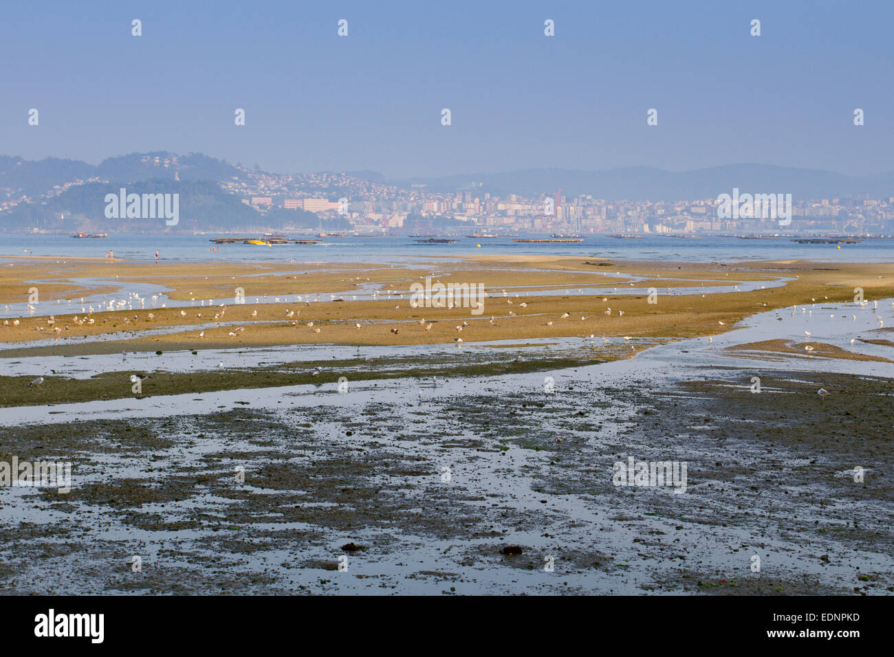 Ein Xunqueira Strand, Moaña, Pontevedra, Galicien, Spanien Stockfoto