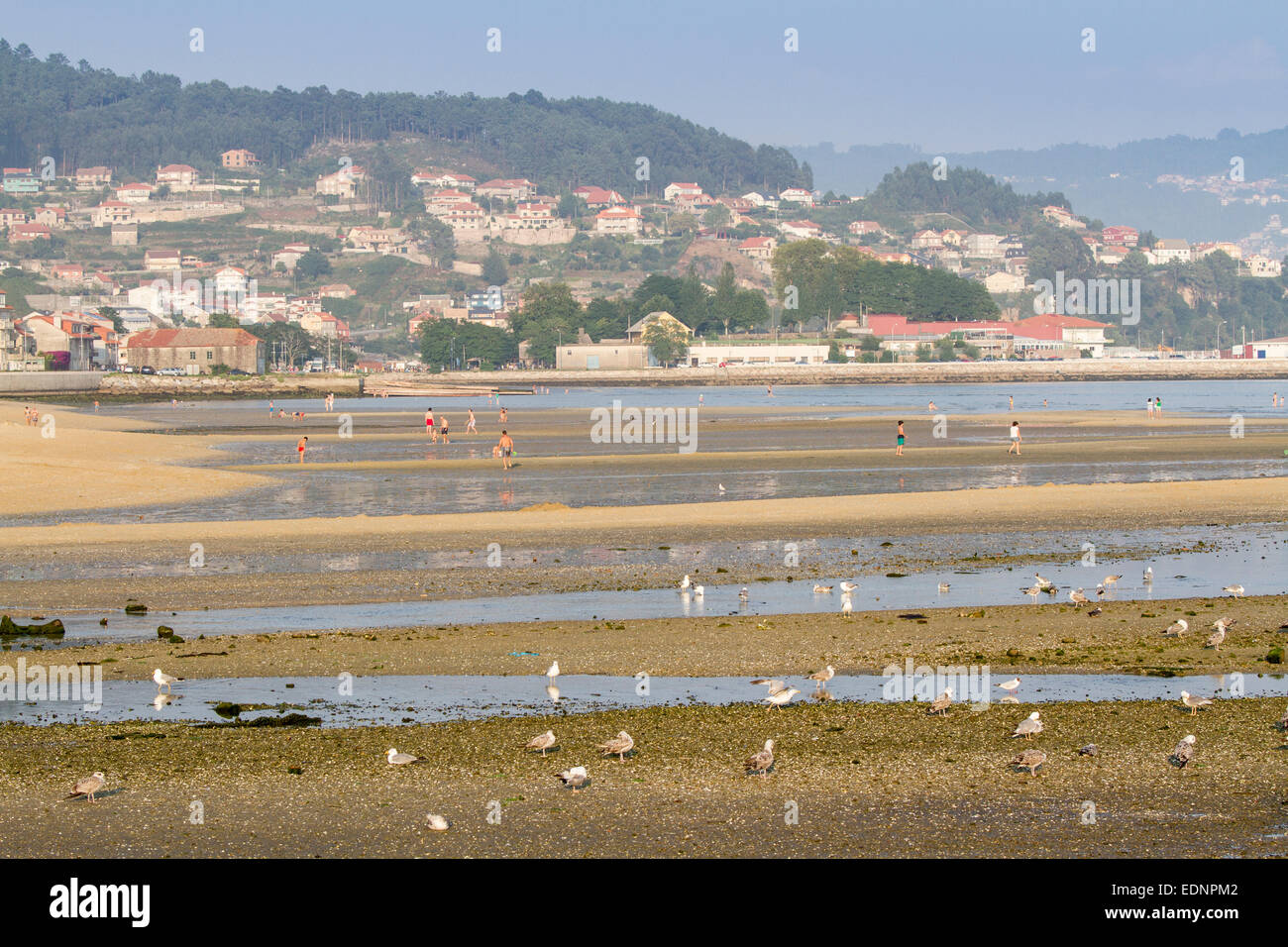 Ein Xunqueira Strand, Moaña, Pontevedra, Galicien, Spanien Stockfoto