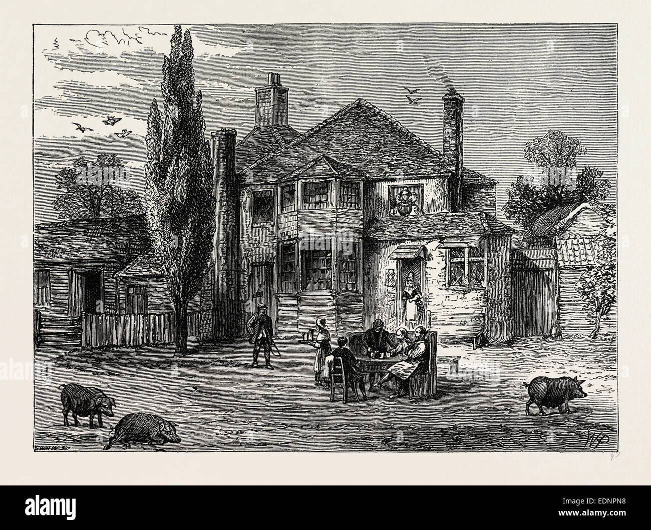 DIE "QUEEN ES KOPF UND ARTISCHOCKE." London, UK, 19. Jahrhundert Gravur Stockfoto