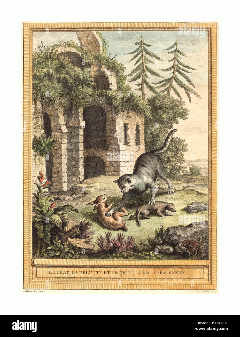 Martin Marvie nach Jean-Baptiste Oudry (Französisch, 1713-1813), Le Chat, la Balette et le petit Lapin (The Cat, das Wiesel) Stockfoto Martin Marvie nach Jean-Baptiste Oudry (Französisch, 1713-1813), Le Chat, la Balette et le petit Lapin (The Cat, das Wiesel) Stockfoto