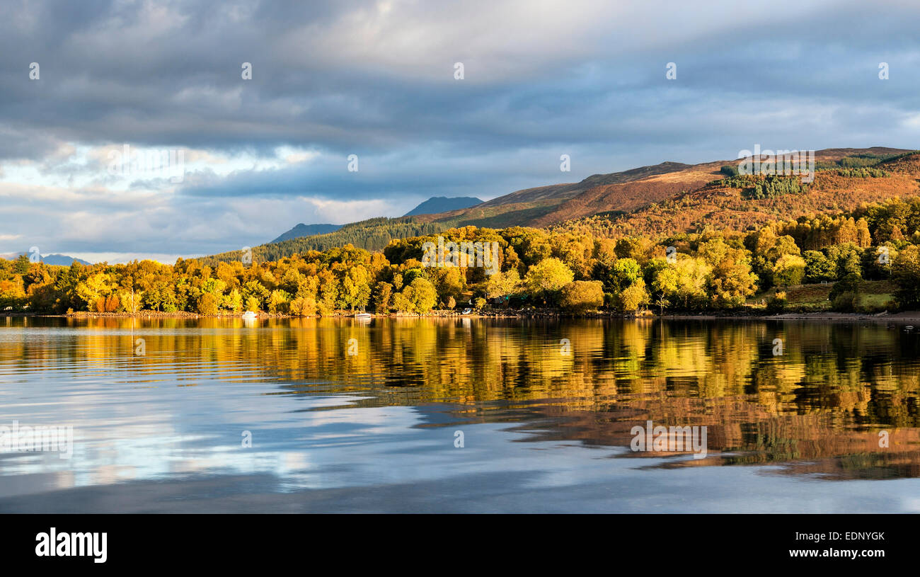 Herbstfärbung auf einem Hügel an der Milarrochy Bucht am Ufer des Loch Lomond Stockfoto
