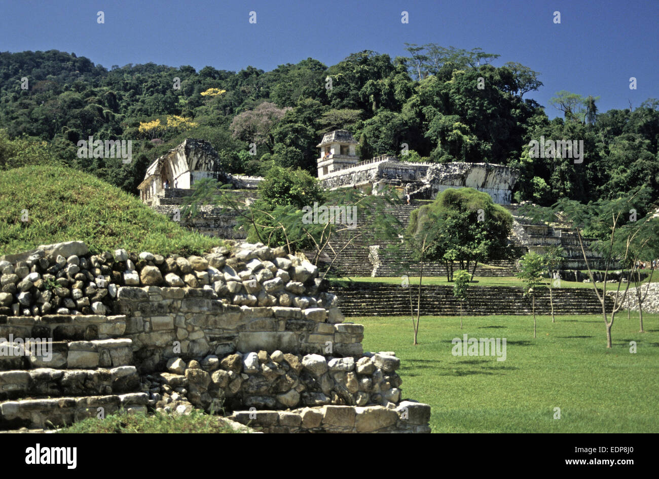 Mexiko - Maya Ruinen von Palenque - auf der größten und am besten archäologischen Stätten in Mexiko Aussicht auf das Schloss Stockfoto