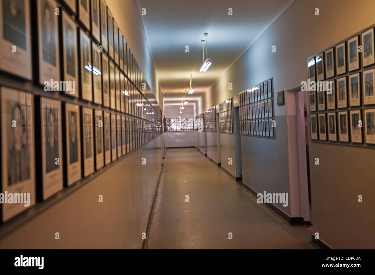 Fotografien von Gefangenen im Hauptkorridor, Block 11, Museum Auschwitz-Birkenau, Oswiecim, Polen Stockfoto