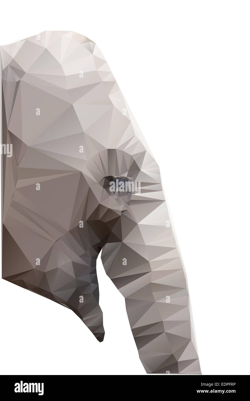Polygonale Darstellung der Kopf Elefanten isoliert auf weißem Hintergrund Stockfoto