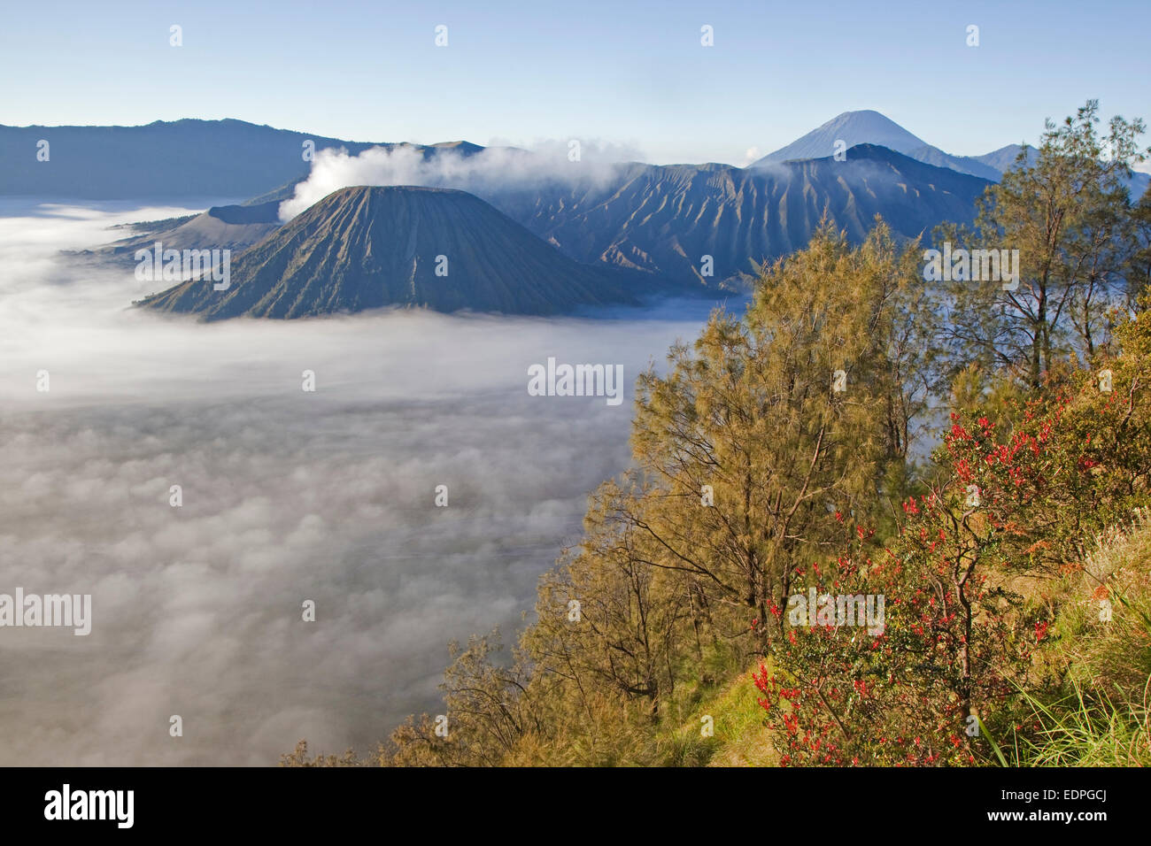 Sonnenaufgang über dem Mount Bromo / Gunung Bromo, Cargocontainern Vulkan und Teil des Tengger-Massivs, Ost-Java, Indonesien Stockfoto