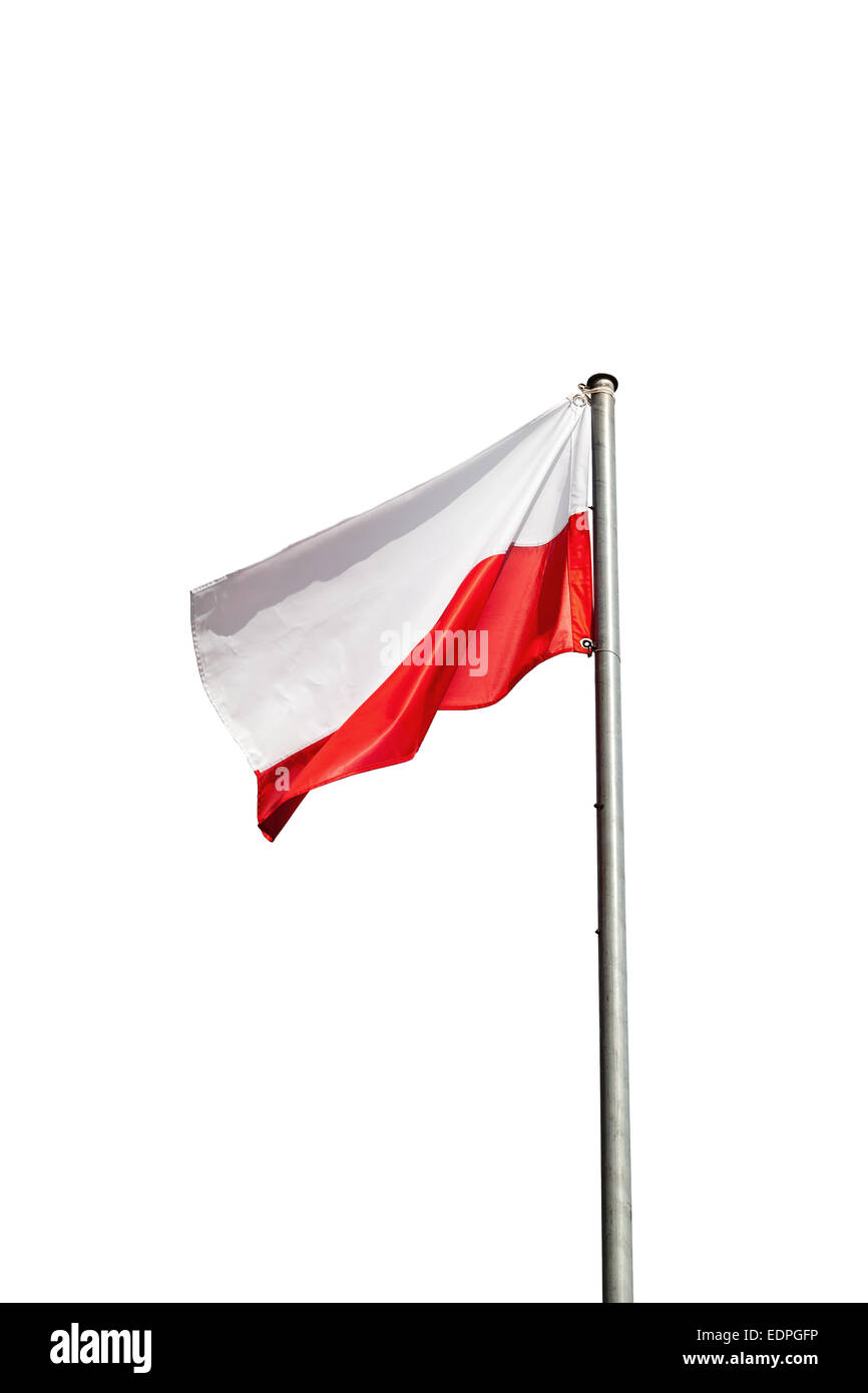 Polen-Fahne im Wind isoliert auf weißem Hintergrund. Stockfoto