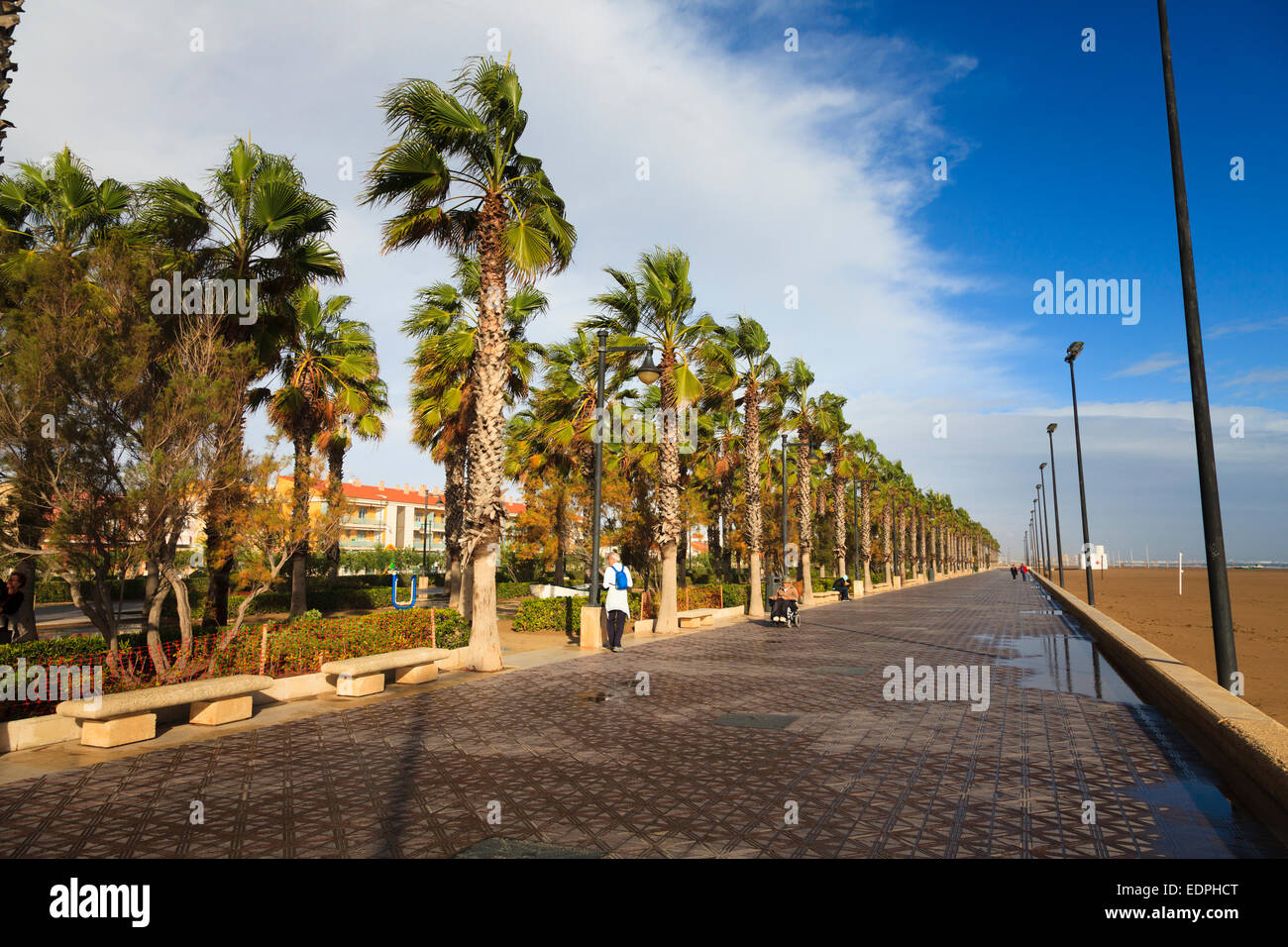Fast menschenleeren Promenade von Valencia Strand mit windigen Palmen und Wintersonne Stockfoto