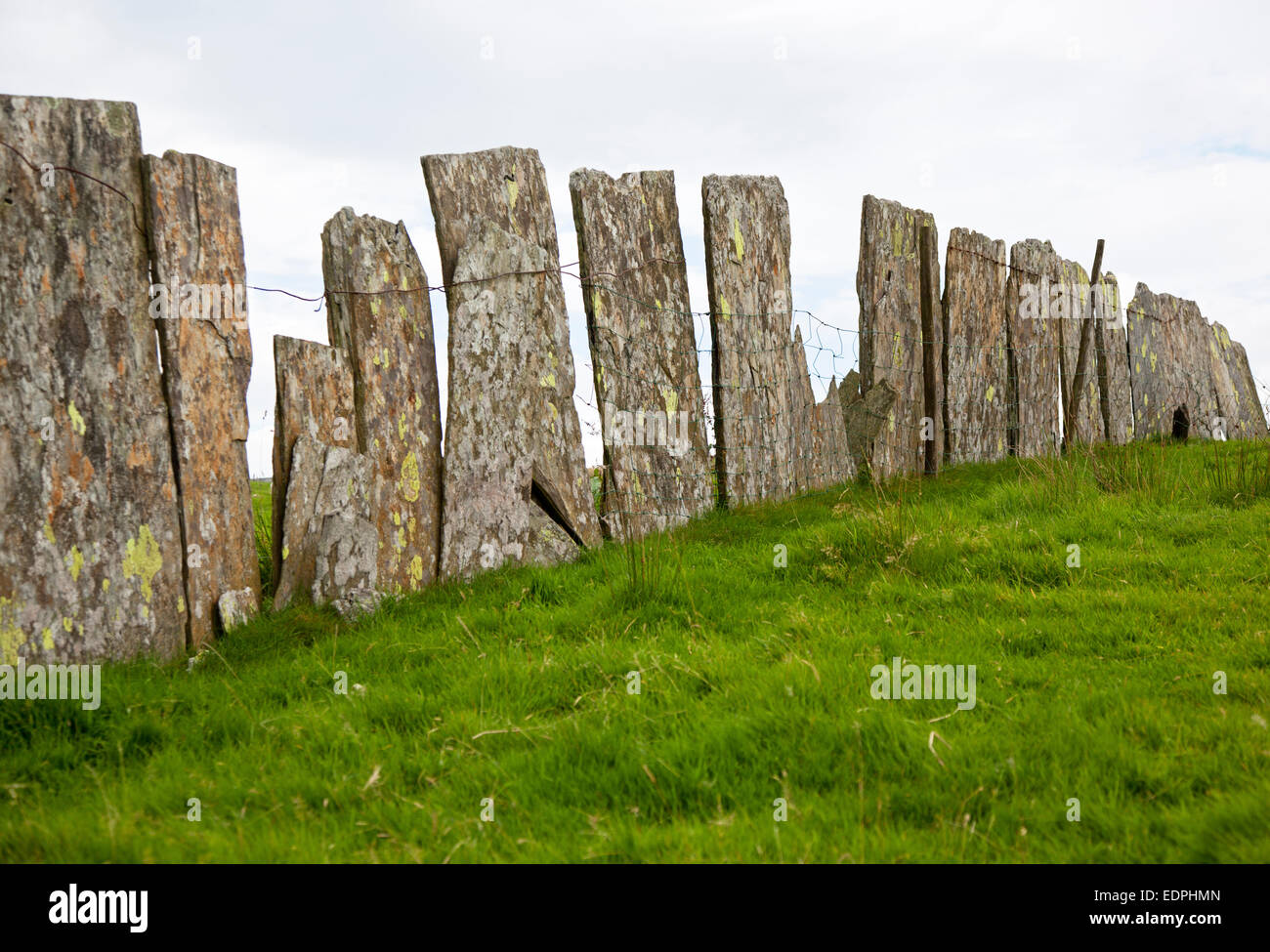 Improvisierte Schiefer Feld-Zaun in der Nähe von Blaenau Ffestiniog in Gwynedd, North Wales, UK Stockfoto