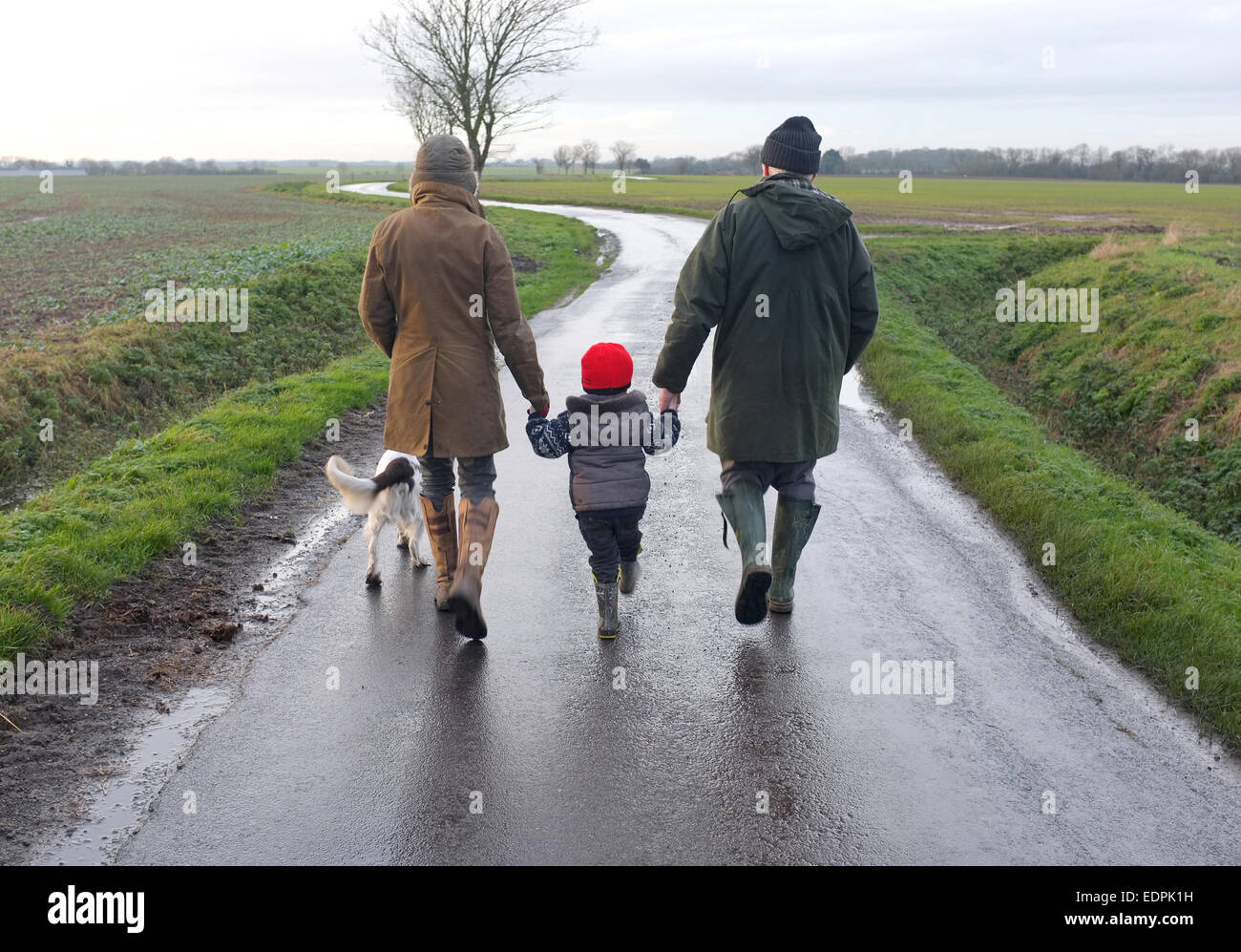 drei Generationen - Großeltern, Eltern und Kind - Wandern mit Hund hält Hände Rückansicht Stockfoto