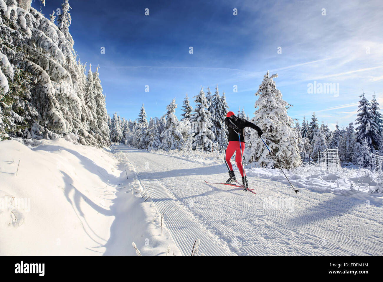 Ein Mann-Langlaufen auf den Waldweg Stockfoto