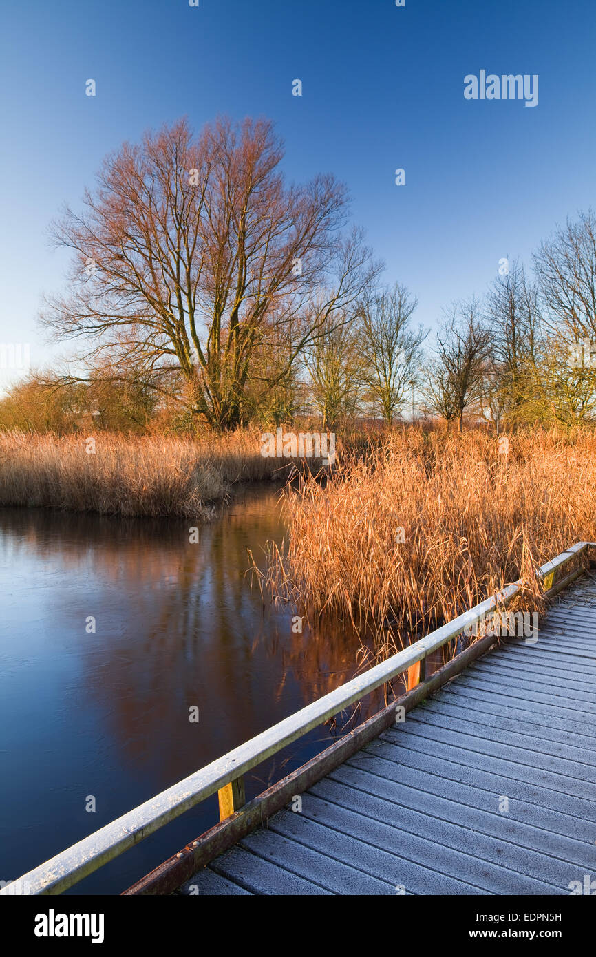 Weit Ings National Nature Reserve auf Barton-upon-Humber, Lincolnshire, UK. 16. Dezember 2014. Stockfoto