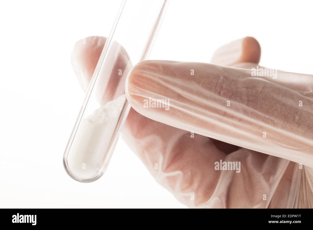 Weißes Pulver im Reagenzglas statt mit den Fingern in Latex-Handschuhen. Stockfoto
