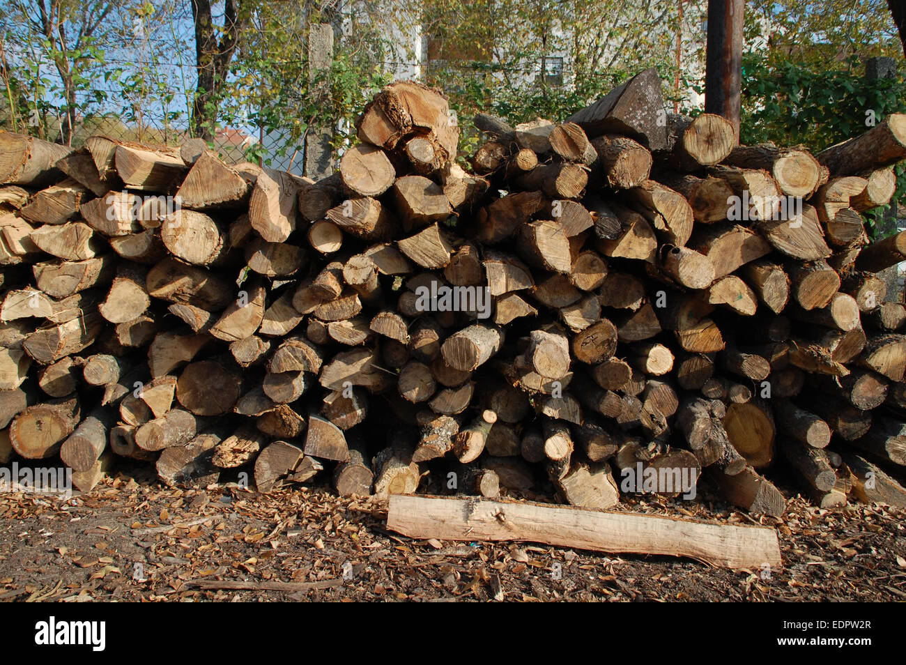Holzschnitt auf dem Betriebshof des Protokolls und zum Verkauf bereit. Stockfoto