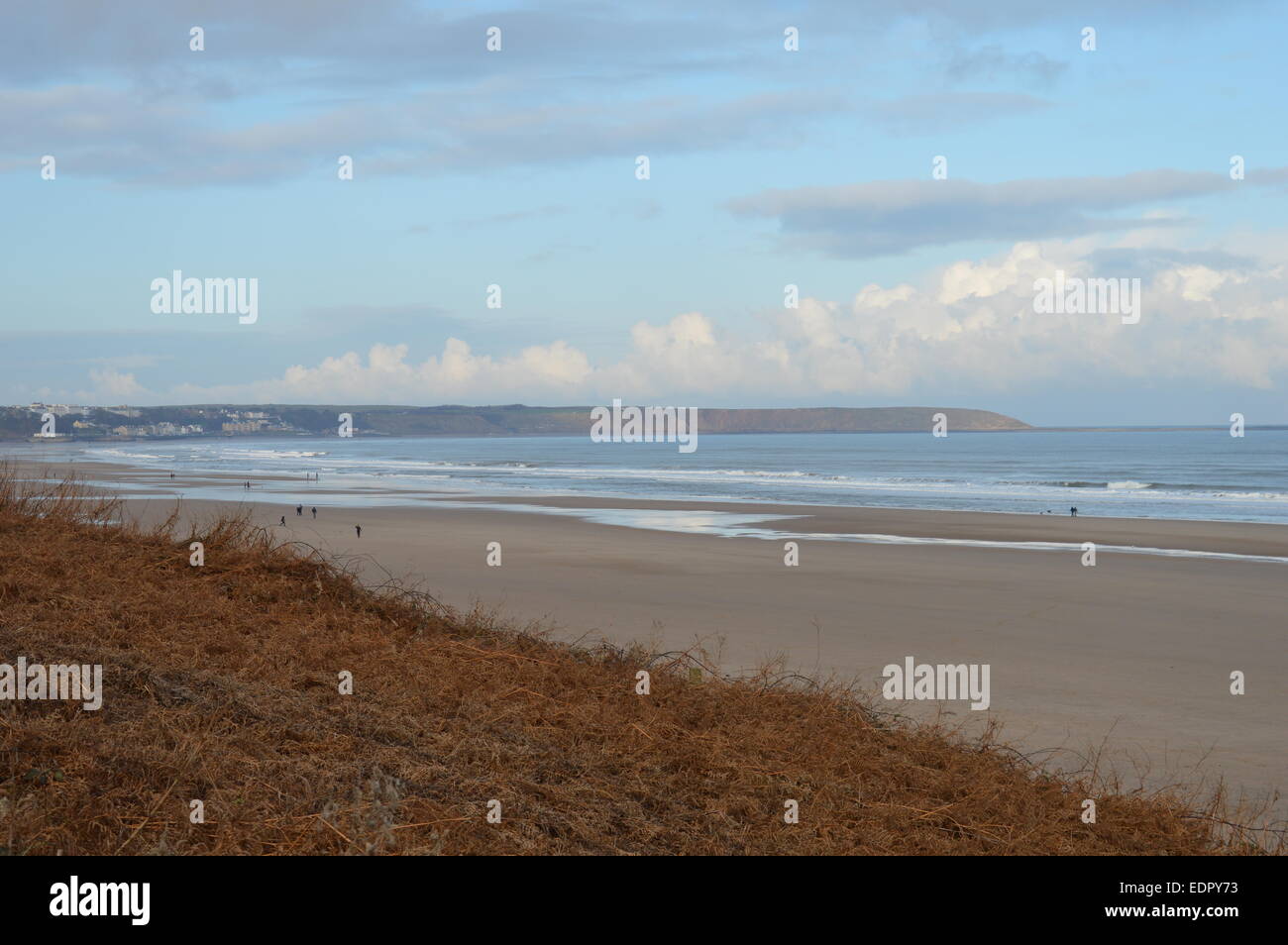 Filey Bucht von Hunmanby Lücke mit Vordergrund Laub. Menschen wandern mit Hund am Strand direkt am Meer Stockfoto