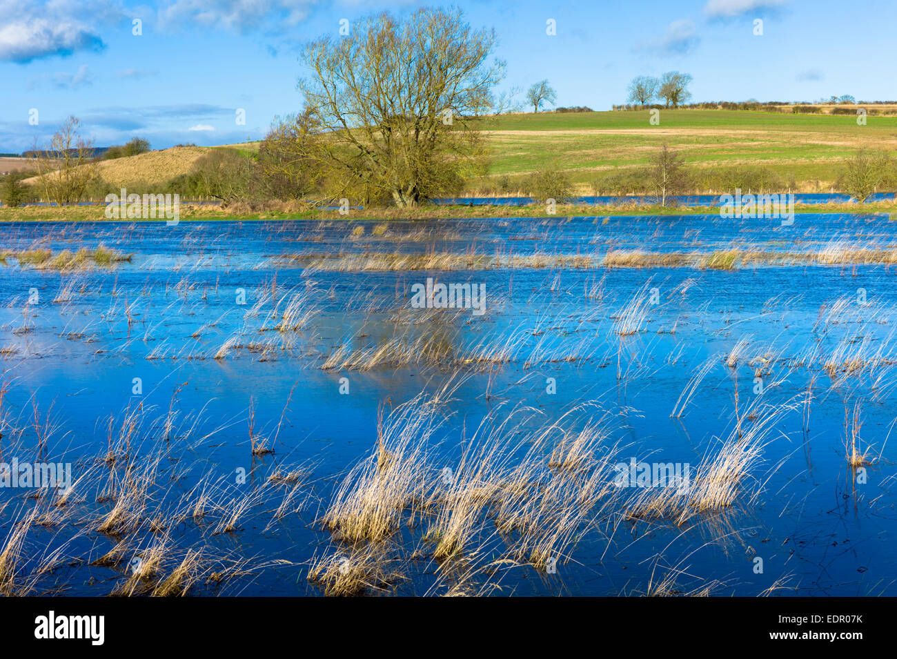 Überfluteten Felder als River Windrush traten seine Ufer nach Starkregen in Burford in Cotswolds, Oxfordshire, Vereinigtes Königreich Stockfoto