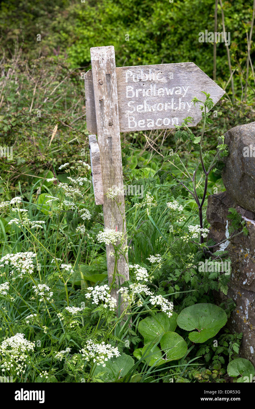 Öffentliche Maultierweg Wegweiser von Bossington zu Selworthy Leuchtfeuer in Exmoor, Somerset, Großbritannien Stockfoto