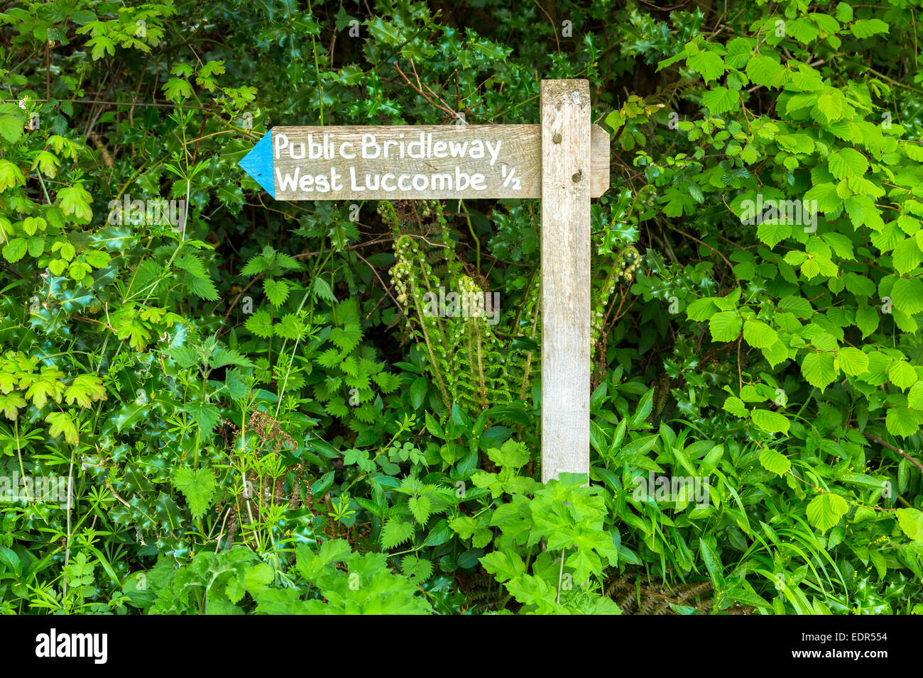 Öffentliche Maultierweg Wegweiser nach West Luccombe im Exmoor National Park in der Nähe von Allerford, Somerset, Großbritannien Stockfoto