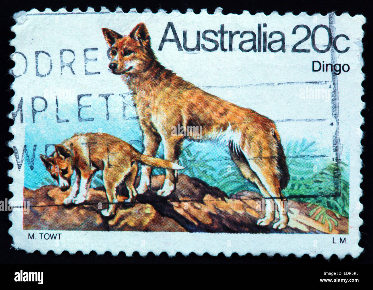 Verwendet und Poststempel Australien / Austrailian Stempel 20c Dingo L.M LM M TOWT Stockfoto