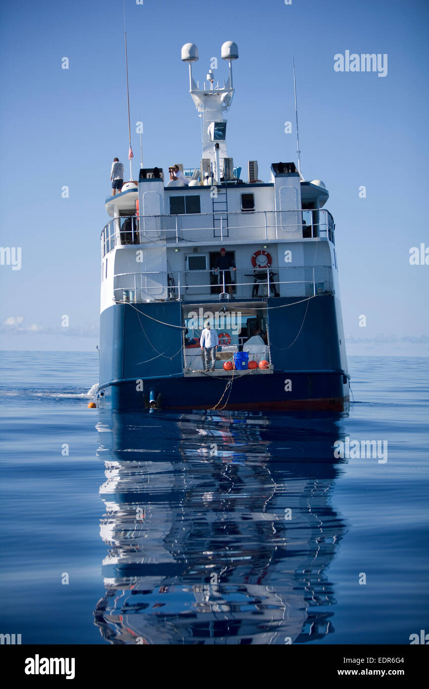 Heckansicht des Expeditionsboot auf spiegelglatten blauen Wasser schwimmen Stockfoto