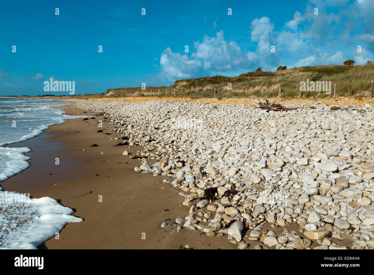 La Salee Strand von Sainte Marie De Re, Ile De Ré, Poitou Charente, Charente-Maritime, Frankreich Stockfoto