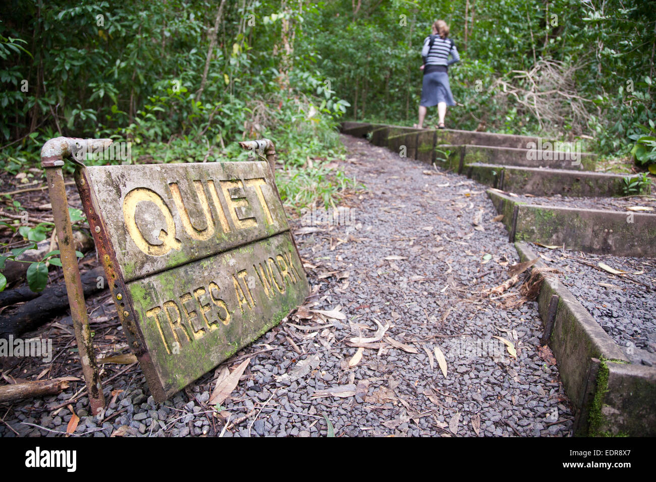 Eine Frau in ihren Dreißigern tragen eines Säuglings Wanderungen durch den Regenwald vorbei an einem Schild mit der Aufschrift "Leise - Bäume am Arbeitsplatz". Stockfoto