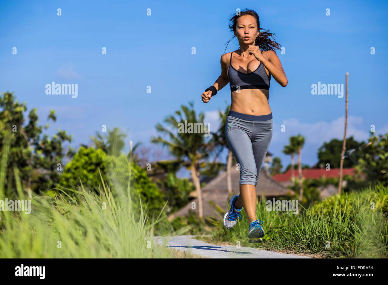 Laufen in Reisfeld in Bali, Indonesien Stockfoto