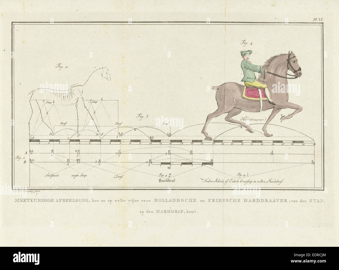 Pferd Schritt Trab mit Entfernungen Maßstab, Johannes le Francq van Berkhey, 1739-1812 Stockfoto